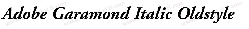 Adobe Garamond Italic Oldstyle Figu字体转换
